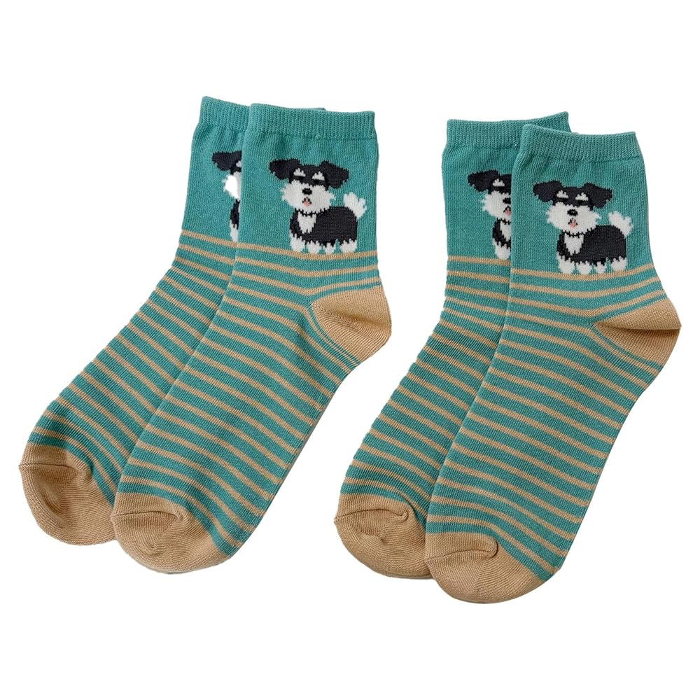 Amazon.co.jp: 【2足セット】 靴下 レディース 夏用 セット